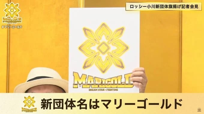 Update on Rossy Ogawa's Marigold Being in Working Relationship with WWE